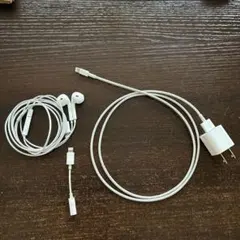 Apple純正 イヤホンLightning 変換アダプタ 充電器セット