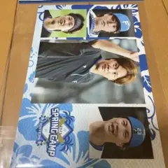 伏見寅威　ポストカードシール　Spring Camp 北海道日本ハムファイターズ