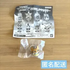 デジモンアドベンチャー　めじるしアクセサリー パタモン