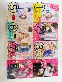 野いちご文庫　恋愛小説　バラ売り