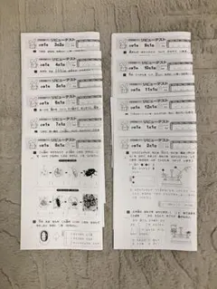 奨学社 しょうがく社 小学部 小学3年生 小3 リビューテスト 理科 一年