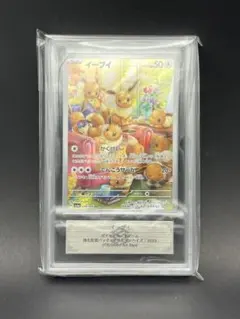 わ*め様 ポケモンカード イーブイex SAR ARS鑑定10 - メルカリ