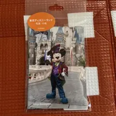 ディズニー　ハロウィン2024 フレンジー　スペシャルフォト　写真　未開封