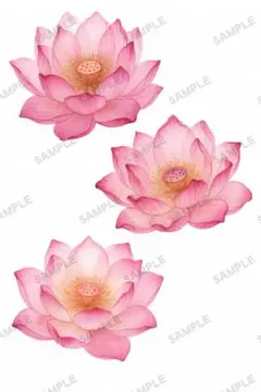 みみゅう様 リクエスト 2点 まとめ商品