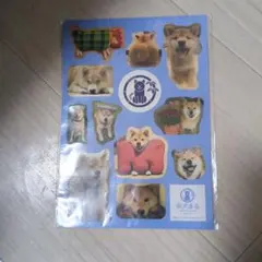 Item thumbnail for item 409479a1-21c2-4785-8f16-bff0ab1c6a45