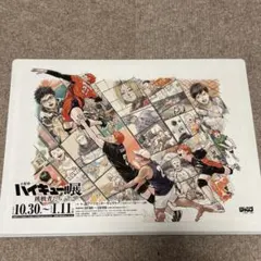 ハイキュー!!展 挑戦者たち 原画展 フライヤー チラシ