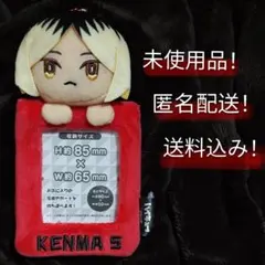 【匿名配送】タグ付未使用　ハイキュー!!みにコレぬいぐるみカードホルダ　孤爪研磨