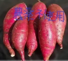 やっさん様専用サツマイモ５種５ｋｇ