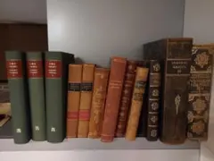 ☆超レア 洋書 限定本 Lagon#3 タイガー立石 ポップアート インテリア