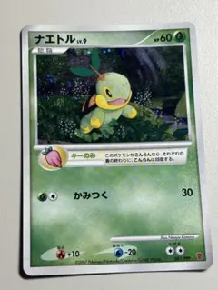 2026年最新】ナエトル 001/PPPの人気アイテム - メルカリ