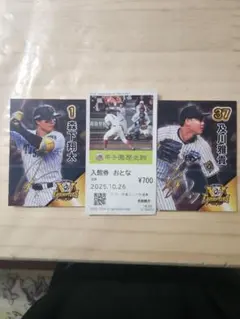 甲子園歴史館入館券と選手サインカードセット
