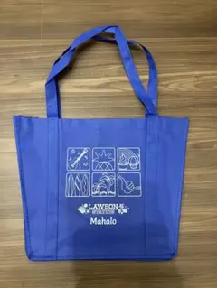 Item thumbnail for item d6c6e3c6-86cb-498e-9528-f1dc75434b87