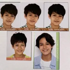 Myojo データカード 角紳太郎