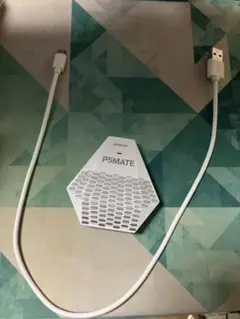 besavior p5mate