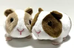 AQUA アクア　 モルモット　ぬいぐるみ　2匹セット