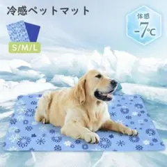 Item thumbnail for item 00c80f39-a62d-402a-a1cc-db396956a992