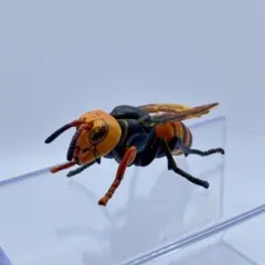 チョコQ 日本の動物 第7弾 オオスズメバチ【海洋堂】ブック有