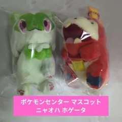 ポケモンセンター マスコット ニャオハ ホゲータ