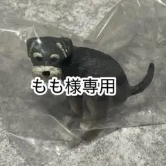 もも様専用ページです