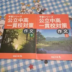 Item thumbnail for item bfba8f55-e40f-447a-95a1-79c7d7a7f8f4