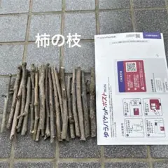 Item thumbnail for item 84071538-1269-4d57-81b6-da8fe8dc7787