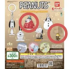 PEANUTS めじるしアクセサリー FUNNY ver.