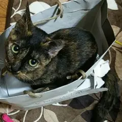 moonbfactoryさまへオーダー専用③