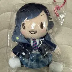 初音ミク　プロジェクトセカイ COLORFUL STAGE! ぬいぐるみ