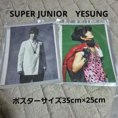 降價！SUPER JUNIOR YESUNG everysing 兩張♪