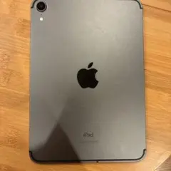 Apple iPad 第6世代　セルラー　スペースグレー 本体