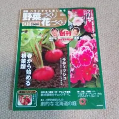 週刊 ベランダでも楽しめる 野菜づくり花づくり 21冊