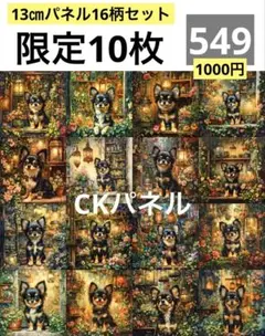 限定10枚　レアパネル生地　16柄セット　チワワパネル生地