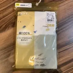 恐竜柄インナー2枚セット 100cm