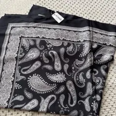 Item thumbnail for item d0541166-a6ea-47cf-931f-fad19a472727