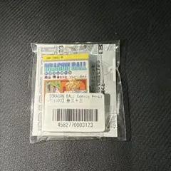 t*t様 ドラゴンボール 40th コミックスチャームコレクション　33巻　ガチ