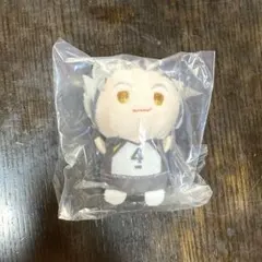 ハイキュー　もちマスたっち　木兎