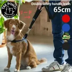 Item thumbnail for item b1266cfa-c8b1-4e46-bdd2-46b7006922db