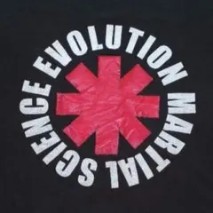 【VINTAGE】レッチリロゴ オマージュ Tシャツ メキシコ製 黒 L相当のサムネイル