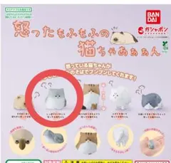 怒ったもふもふの猫ちゃあぁぁん