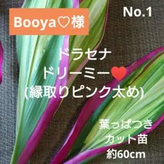 Booya♡様 リクエスト 3点 まとめ商品