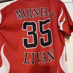 ソフトバンクホークス　モイネロ選手　Tシャツとタオルセット