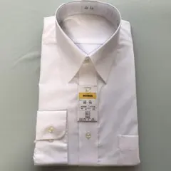 Item thumbnail for item 205897fe-44db-4f04-bda9-f064268a04d8