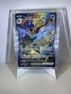 海外限定 ゲッコウガex 英語版 SVP EN 132 プロモ　 美品