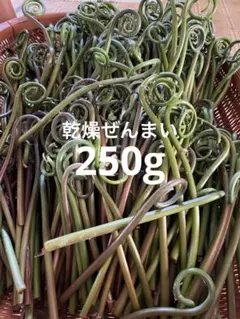 8年新物 200g 超極太 上物 徳島産肉厚乾燥ぜんまい 山菜ゼンマイ 野菜