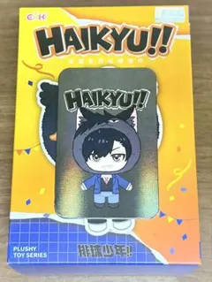 正規品 日向翔陽 ぬいぐるみ EAKI 中国限定 - メルカリ