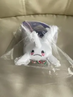 希少　2006年　サニーゴ　ポケモン ぬいぐるみ 希少 ポケモン ガラルサニーゴ ポケモンフォーカス ぬいぐるみ