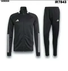 アディダス 上下 ウェア