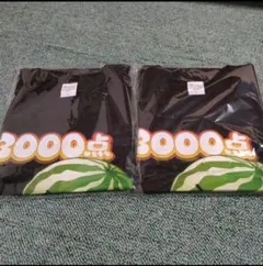 Item thumbnail for item baeb043e-0d88-415c-868e-b7e552367a46