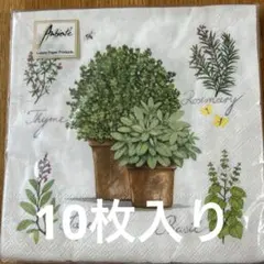 Item thumbnail for item 4e6c7b80-3aa2-485d-b8e1-f7f604b6c1d2