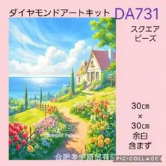 DA731★ダイヤモンドアートキット★スクエアビーズ